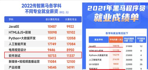 軟件開發(fā)與軟件測試 如何選擇適合你的網(wǎng)絡技術服務職業(yè)道路？